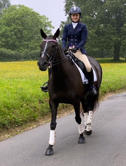 Ambers Horse