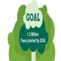 Surrey Tree Initiative